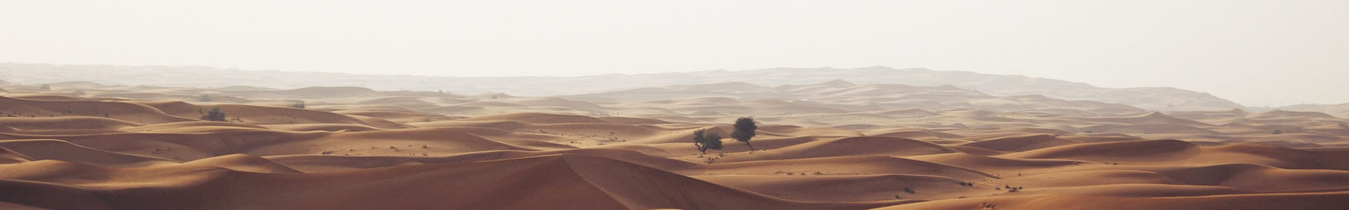 ſƼ޹˾